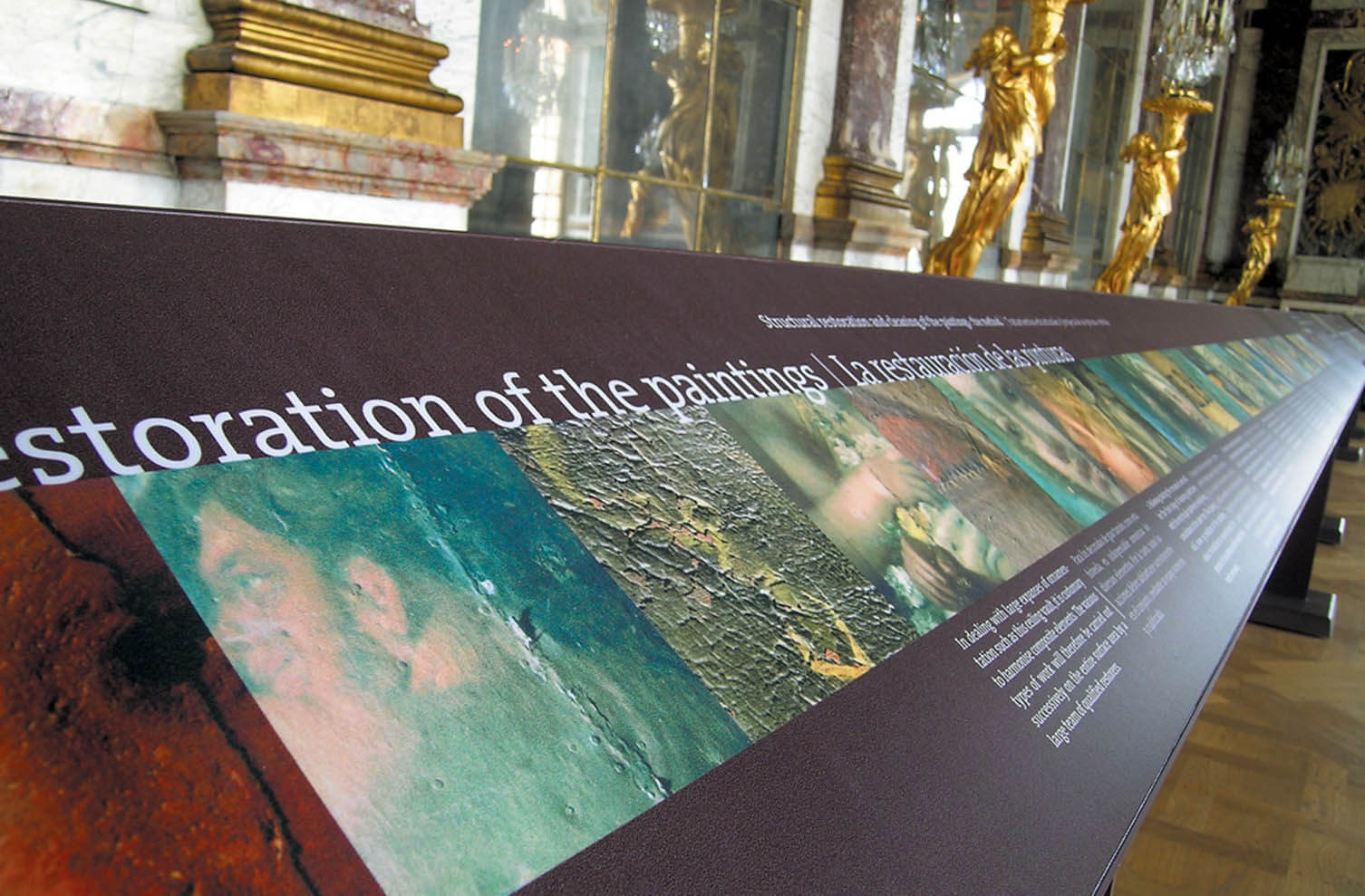 Image Galerie des Glaces 5